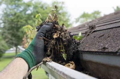Gutter Debris Close-up