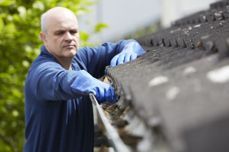 Local Gutter Maintenance Experts